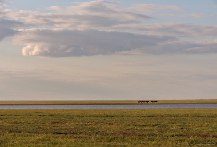Коргалжын. Фото ©Турар Казангапов