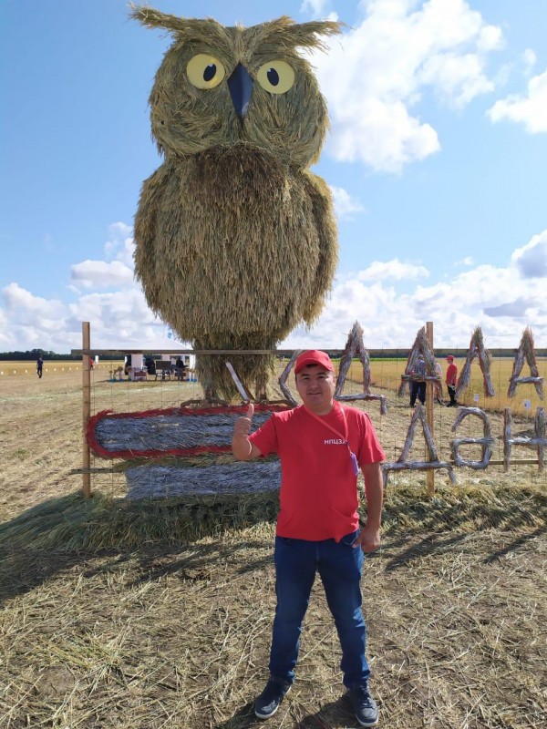 соломенная сова в Акмолинской области